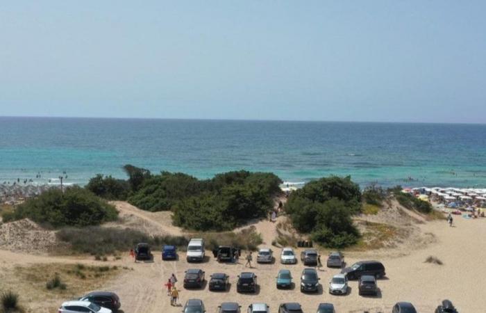 Plazas de aparcamiento junto al mar, el verano en Apulia comienza en caos: los municipios buscan soluciones