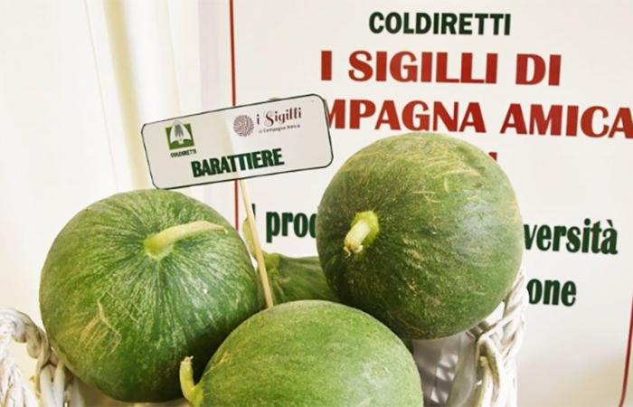 Coldiretti Puglia: “Cada vez más italianos piden menús biodiversos”
