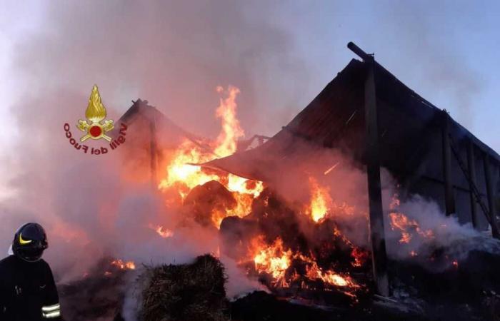 Los equipos de bomberos intervienen en un incendio en Tolfa