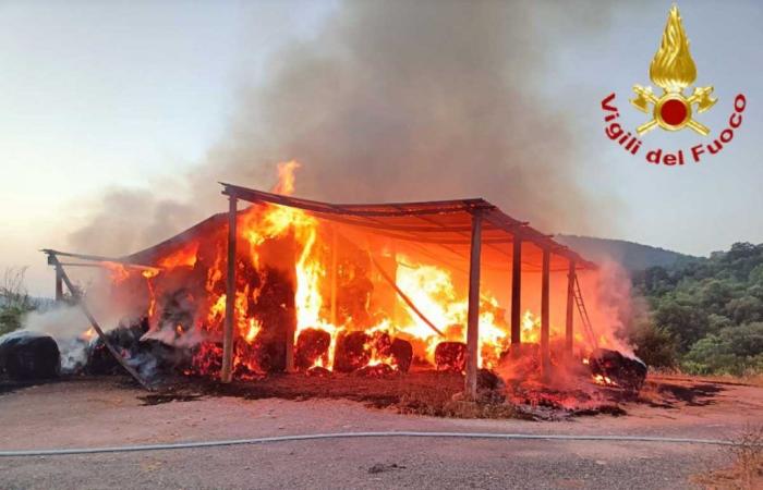 Apartamento en llamas en Civitavecchia, los bomberos también actúan en Tolfa por un incendio en un almacén
