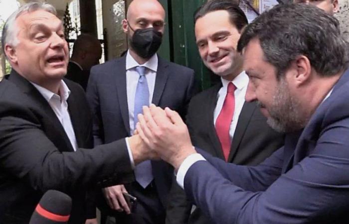 Matteo Salvini acerca la Liga al grupo Patriots de Orban: “Este es el camino correcto”
