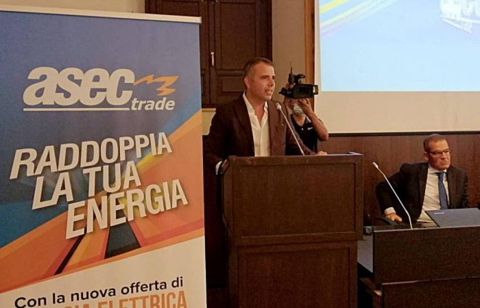 Catania, Asec Trade y el fin del mercado eléctrico protegido