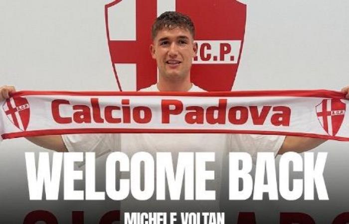 Padua, el regreso de Michele Voltan es oficial: la nota del club