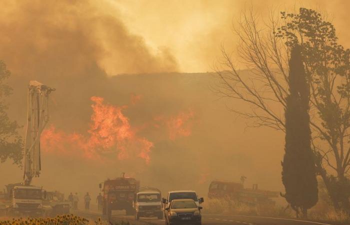 Türkiye, la provincia de Muğla afectada por los incendios