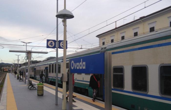 Emergencia ferroviaria: viajeros y alcaldes piden una reunión
