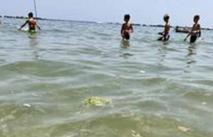 Pescara, bañistas en agua incluso con mucílagos
