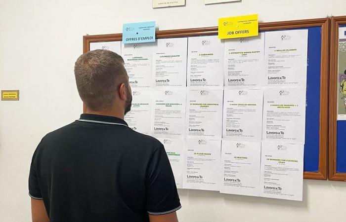 Informe de ofertas de empleo en Arpal Puglia: selección para 100 empleados del call center en Lecce