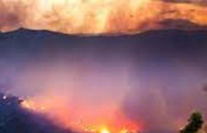 Informe del incendio de Ispra. Las regiones suspenden la temporada de caza 2024/2025