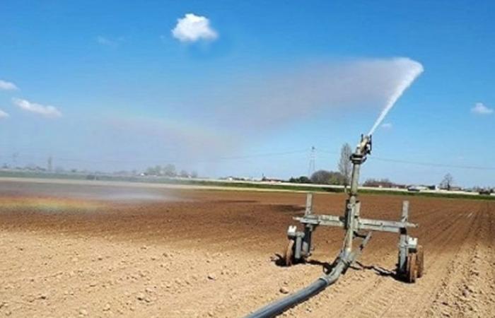 La sequía y el primer “riego de rescate” se desencadenan en la zona de Agrigento, pero los agricultores excluidos protestan