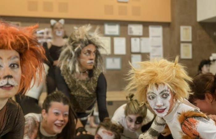 Esta noche llega “Cats” al Teatro “Brecht” de Perugia, un evento extraordinario con los alumnos de la escuela “Naturamente Danza”