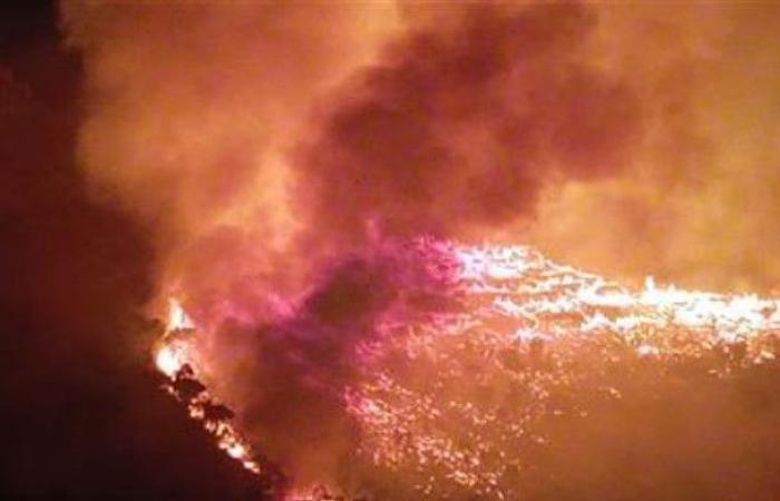 Incendios en 2023, el 83 por ciento de los incendios en Sicilia y Calabria
