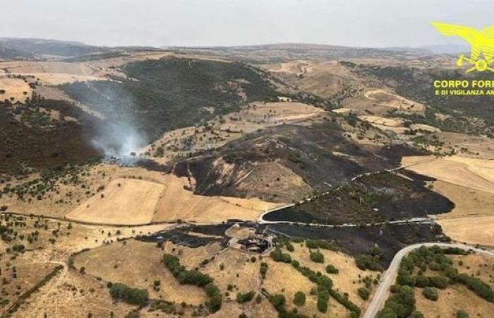 Hoy 15 incendios en Cerdeña. Vehículos aéreos en Orroli | Noticias