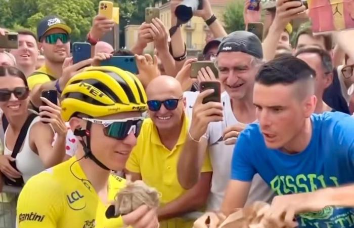 Tour de Francia: ¿los ganadores en Piacenza? Lorenzo Casella y Filippo Cordani, ¡los chicos de la Dop Cup entregada a Pogacar!