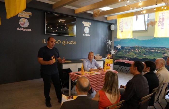 La Yellow Food Night debuta en Gorizia, platos y vasos en Via IX Agosto • Il Goriziano