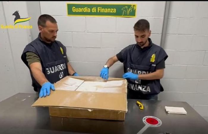 La Policía Financiera de Varese incauta más de 6 toneladas de precursores de droga