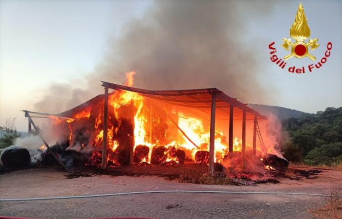 Hazaña de los bomberos: se incendia un apartamento y un almacén en la carretera provincial
