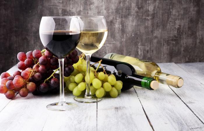 el encuentro entre vino y cultura
