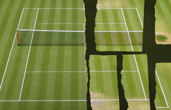 ¿El césped de Wimbledon sigue siendo más verde?