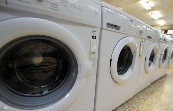 Bono electrodomésticos ecológicos, hasta 200 euros de descuento para lavadoras y frigoríficos nuevos