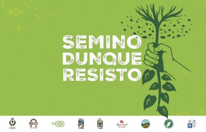 “Siembro, luego resisto”, el debate sobre innovación agroalimentaria y biodiversidad en Capitignano”