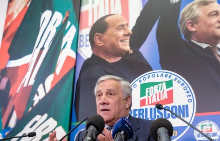 Nosotros, Feltri y Forza Italia