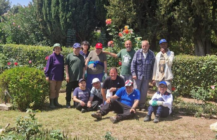Plantas para ayudar a las personas con discapacidad, Cagliari lucha por el reconocimiento de la terapia hortícola