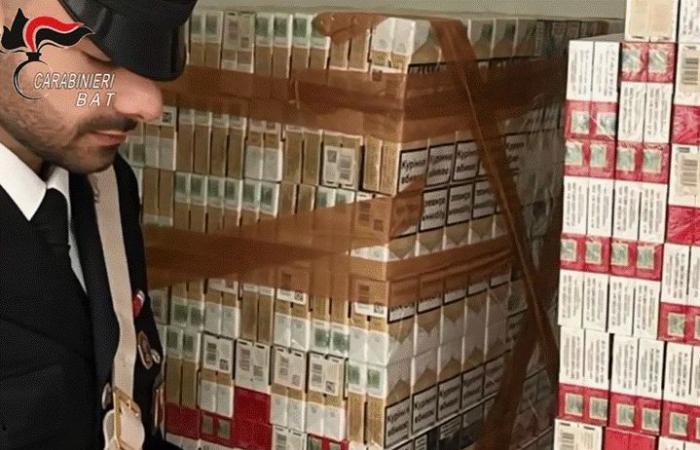 Operación recuperación, tráfico de drogas e importación y venta de tabaco de contrabando en Bisceglie: 13 detenciones Vídeo