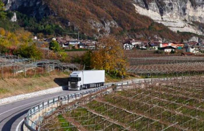 Transporte de vino y aceite: Francia aprende de Italia
