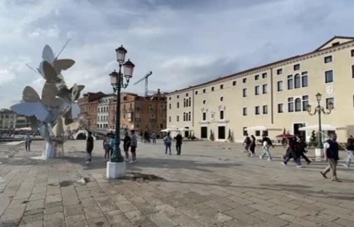 Tres años de Ca’ di Dio: Venecia, pero también su laguna