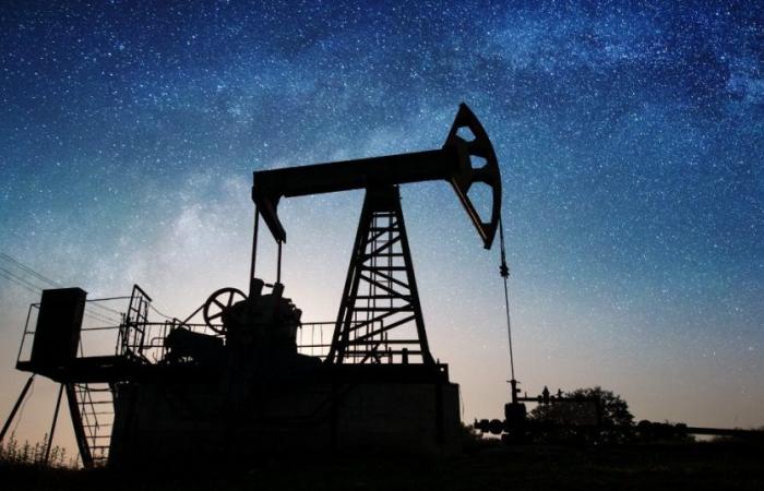 Arabia Saudita descubre siete nuevos yacimientos de petróleo y gas