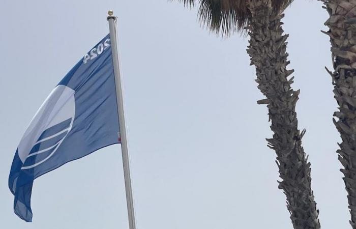 La Bandera Azul ondea desde ayer sobre Sampieri