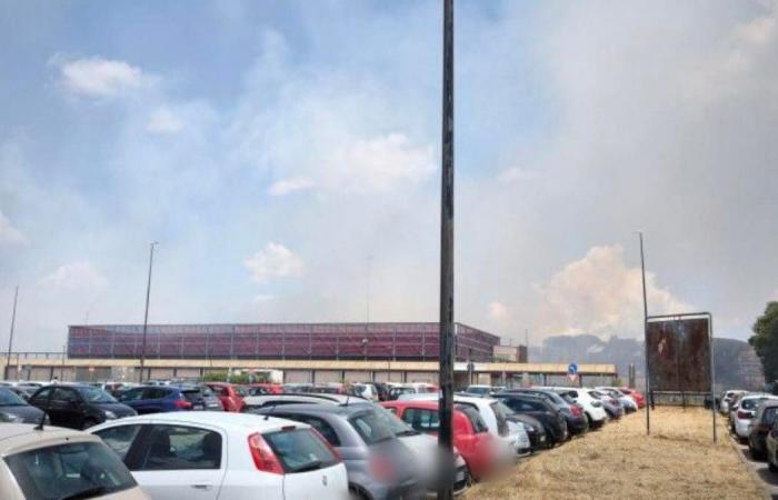 Incendio en Tor Vergata, arbustos en llamas a unos pasos del hospital y de la Facultad de Medicina