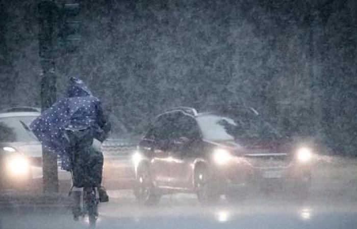 Tormentas intensas: alerta amarilla en 9 regiones, se espera mal tiempo también en Trentino – Noticias