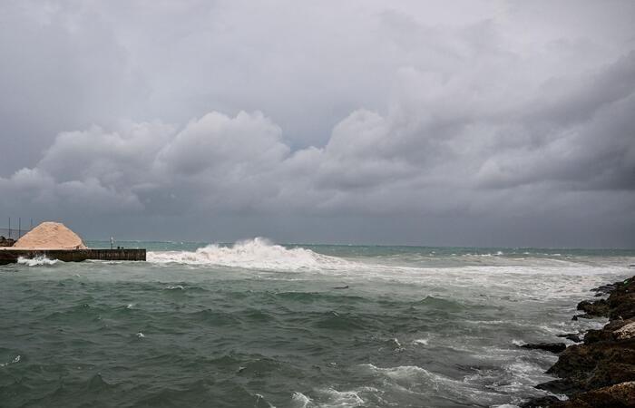 Beryl asciende a huracán categoría 5, ‘potencialmente catastrófico’ – América Latina