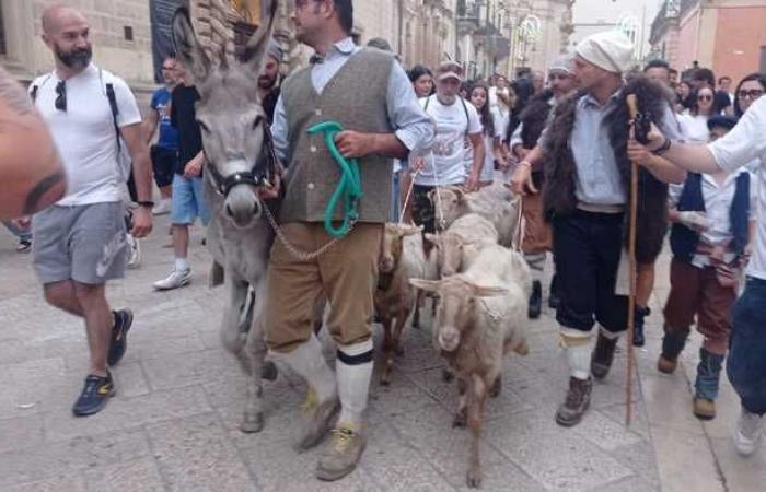 Matera, la procesión de los pastores abre la Fiesta Bruna – Noticias