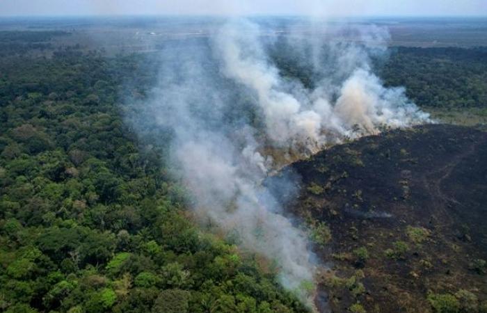 Brasil, aumento récord de incendios en la Amazonía en el primer semestre de 2024