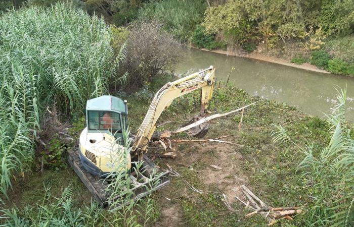 Pesaro, riesgo hídrico: 100 mil euros en trabajos de limpieza de siete acequias – Noticias Pesaro – CentroPagina