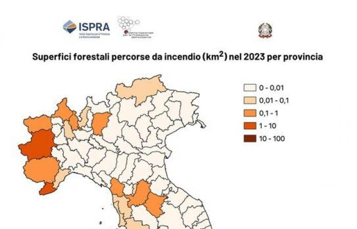 Incendios forestales en 2023, el marco de Ispra – SNPA – Sistema Nacional de Protección del Medio Ambiente