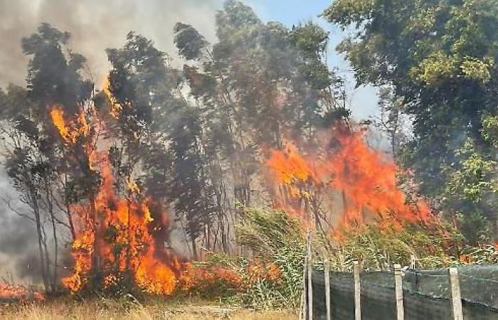 Gran incendio en Aprilia: evacuaciones e intervenciones de emergencia