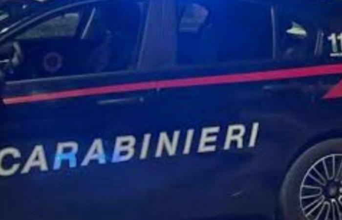 el botín aparece en la web. Los carabinieri llegan a la reunión de cebo en Pesaro. Esto es lo que pasó