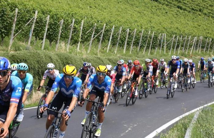 El Tour de Francia en Langa, el paraíso amarillo para ciclistas de todo el mundo
