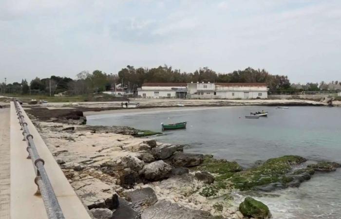 Algas tóxicas en Puglia. Etiqueta roja en Bari