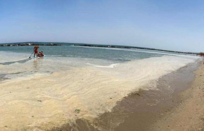 Invasión de mucílago, capa de limo en el agua – Pescara