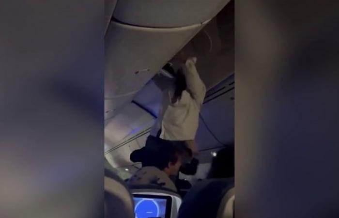 Pasajeros arrojados de sus asientos y atrapados en los compartimentos superiores: imágenes de las turbulencias en el vuelo Madrid-Montevideo
