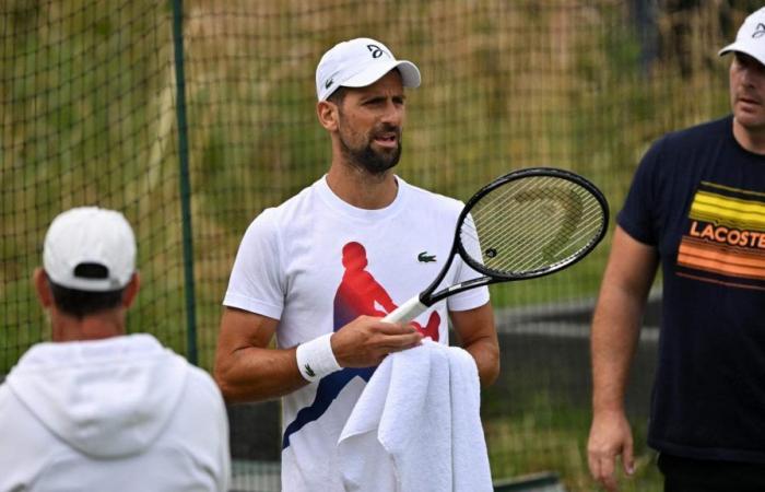 Vive Wimbledon: es el día de Djokovic. Seis italianos también en el campo: Nardi fuera