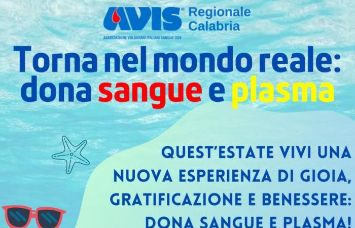Verano de 2024, comienza la campaña Avis Regionale Calabria