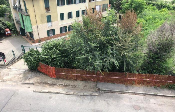 “Por eso el pavimento sigue en condiciones inadecuadas” – Torino Oggi