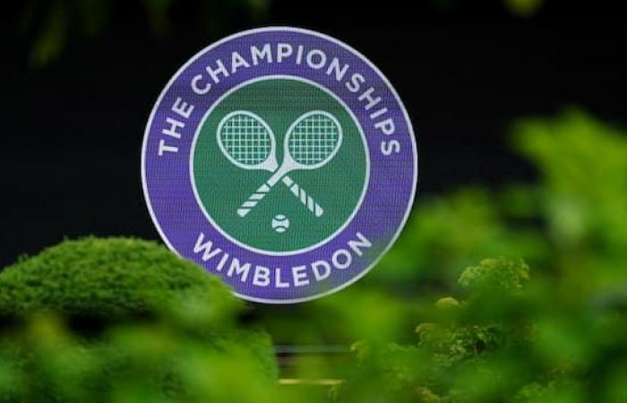Wimbledon 2024, los italianos en el campo hoy: los resultados