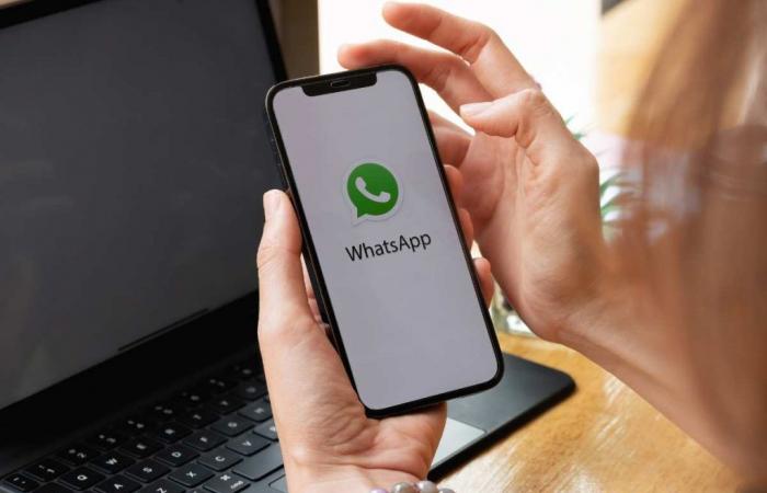 Whatsapp da la alarma, si no lo haces perderás todas las conversaciones: máxima atención