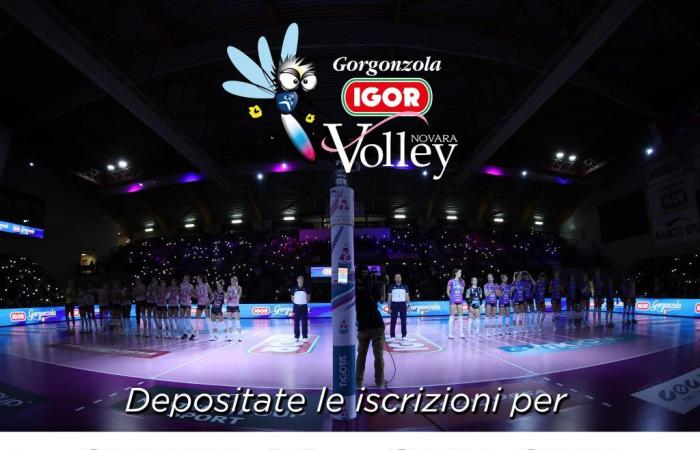 Igor, se ha registrado la inscripción para el campeonato de la serie A1. – Liga de voleibol femenina de la Serie A